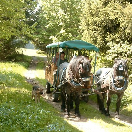 Schöfweg Ferienland Sonnenwald 아파트 외부 사진