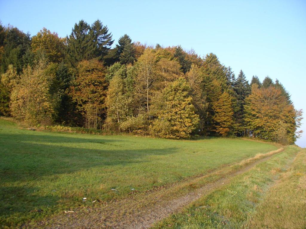 Schöfweg Ferienland Sonnenwald 아파트 외부 사진