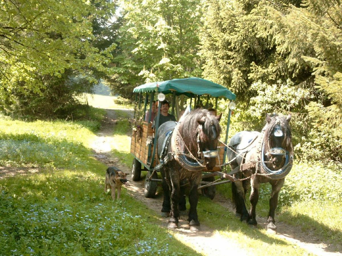 Schöfweg Ferienland Sonnenwald 아파트 외부 사진